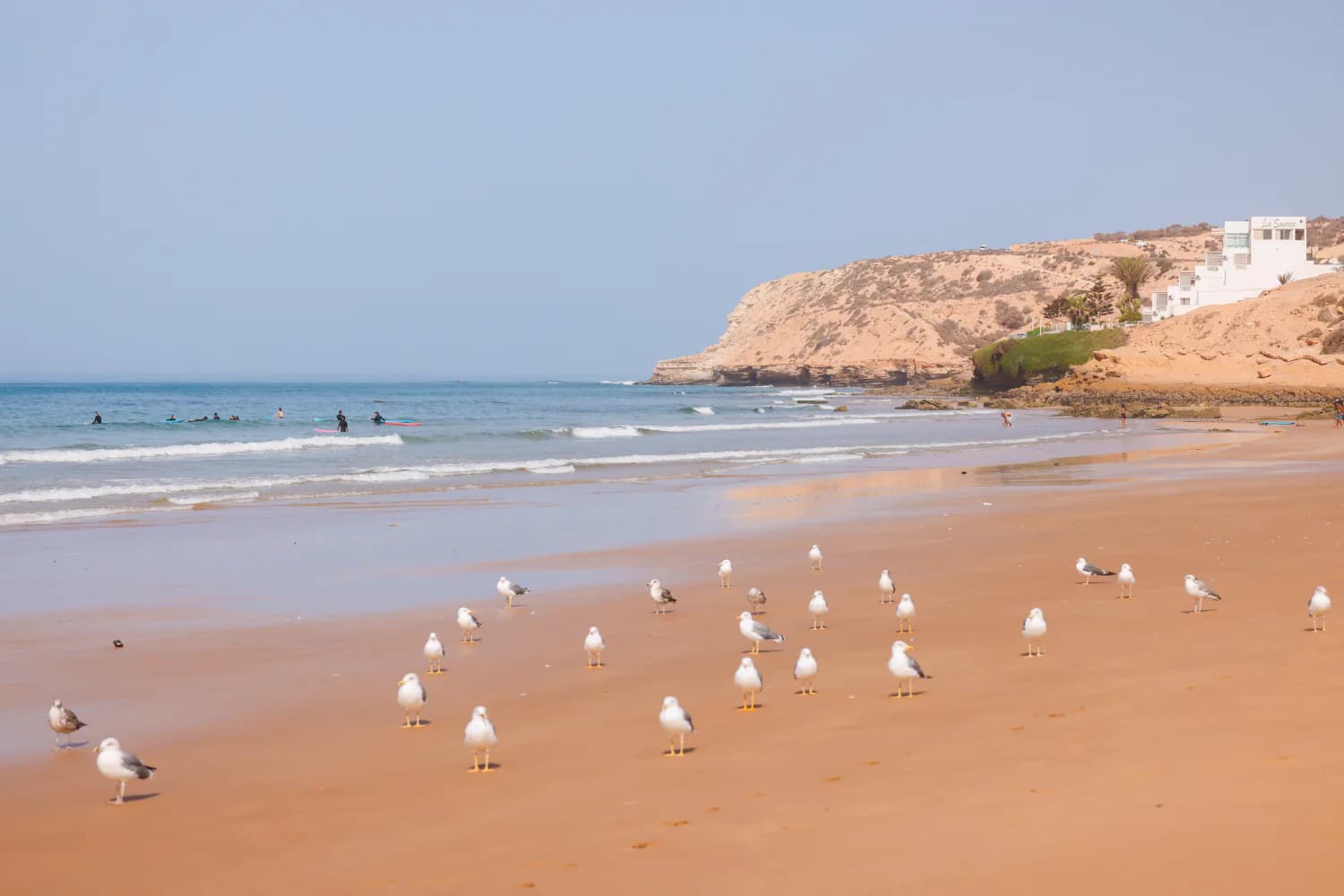 Des mouettes posées sur le sable au bord du rivage calme d’Imsouane.